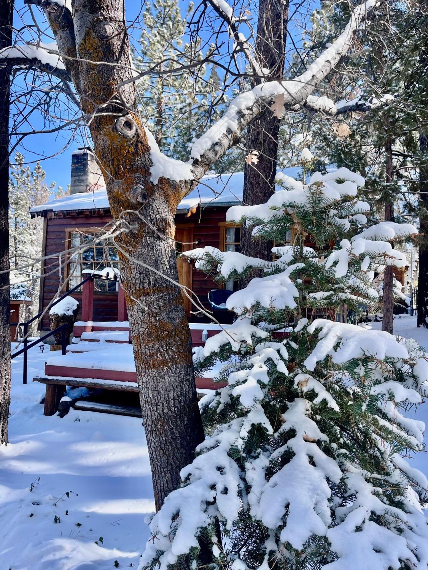 The Nest On Towne Trail - Hot Tub, Bbq, Fire Pit Villa Big Bear Lake Eksteriør bilde