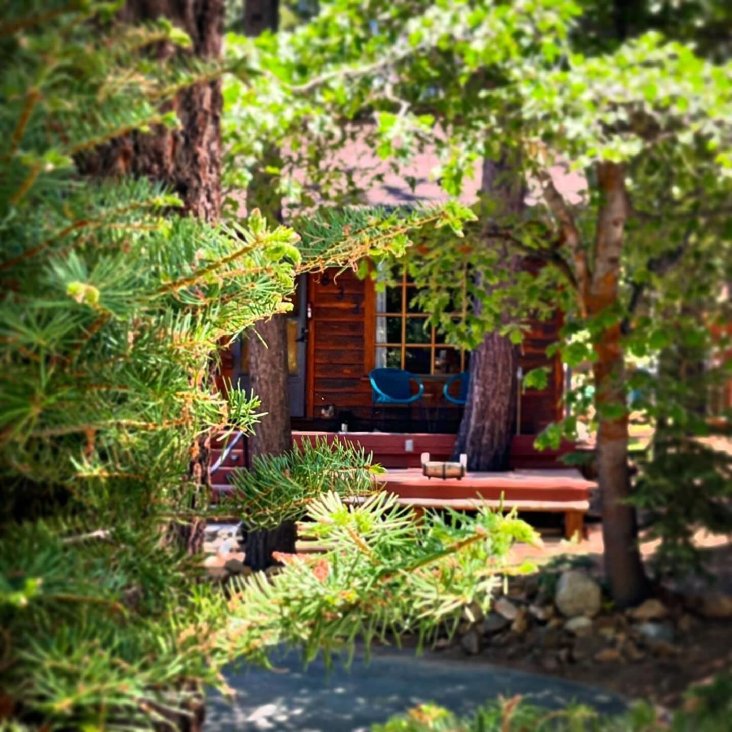 The Nest On Towne Trail - Hot Tub, Bbq, Fire Pit Villa Big Bear Lake Eksteriør bilde